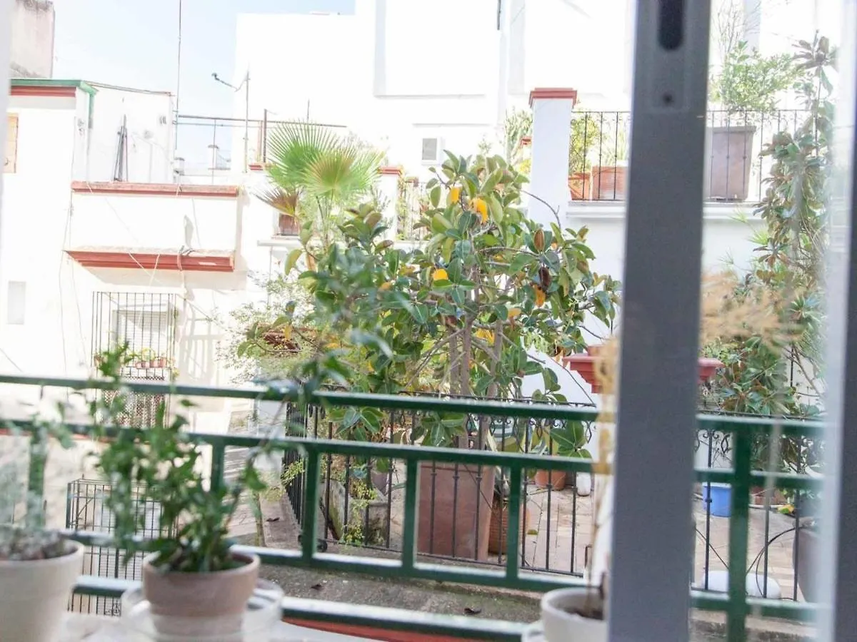 Apartment Chic&Luminoso Wifi Ac Elegante Apt En El Salvador 1 Hab Seville