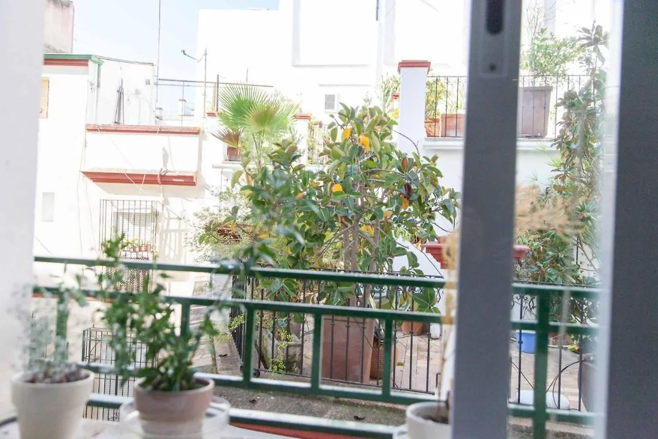 Chic&Luminoso Wifi Ac Elegante Apt En El Salvador 1 Hab Seville Apartment